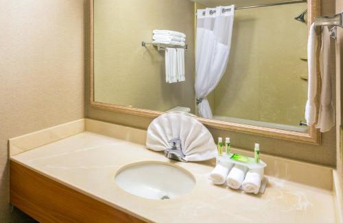 Roseburg Hotel | Holiday Inn Express Roseburg by IHG