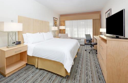 Brooks City Base Hotel | Holiday Inn Express & Suites San Antonio Brooks City Base by IHG