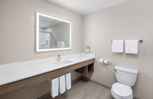 Bellevue Hotel | Holiday Inn Express & Suites Green Bay East by IHG