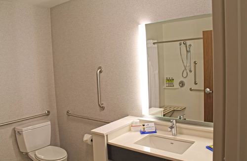 St. Louis Hotel | Holiday Inn Express & Suites St. Louis South - I-55 by IHG