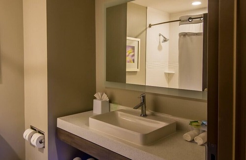Garland Hotel | Holiday Inn Express & Suites Garland E - Lake Hubbard I30 by IHG