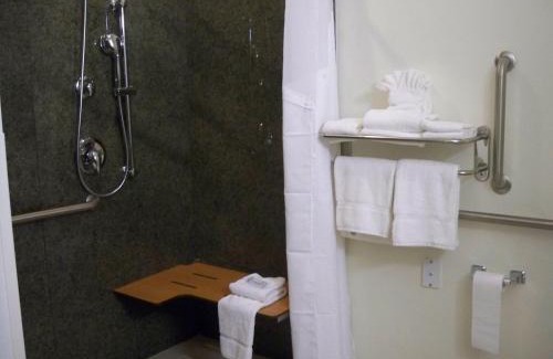 Chalco Hotel | Holiday Inn Express & Suites - Omaha I - 80 by IHG
