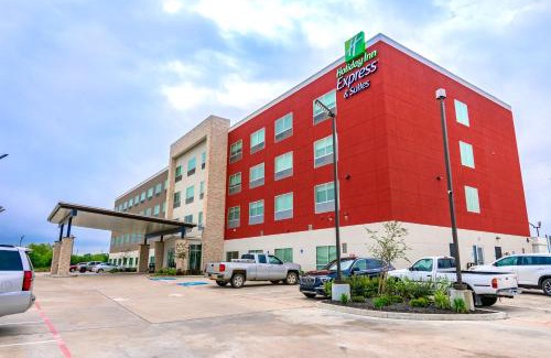 Aldine Hotel | Holiday Inn Express & Suites - Houston IAH - Beltway 8 by IHG