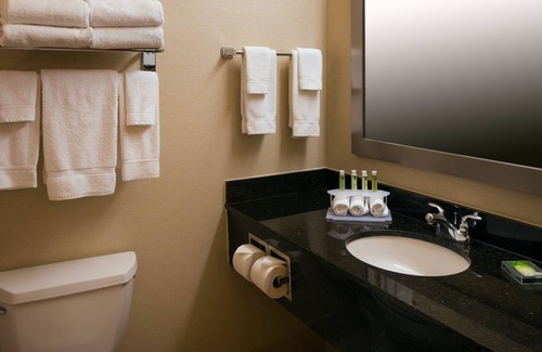 Roselle Hotel | Holiday Inn Express & Suites Chicago West-Roselle by IHG
