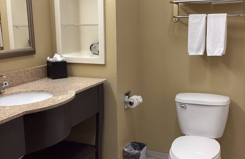 Ira Hotel | Holiday Inn Express &Suites Snyder by IHG