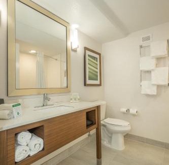 Peachtree City Hotel | Holiday Inn Hotel and Suites Peachtree City by IHG