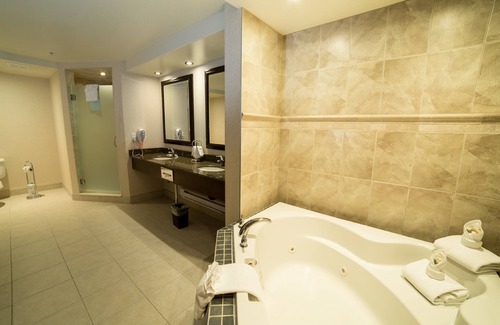 Northwest Edmonton Hotel | Holiday Inn Hotel & Suites West Edmonton by IHG