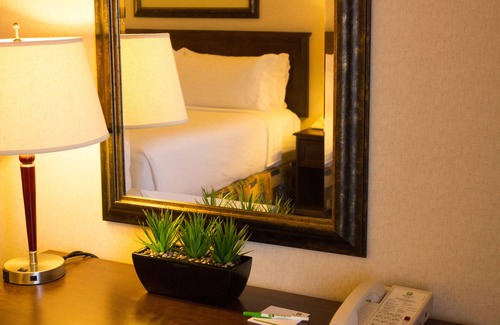 Northwest Edmonton Hotel | Holiday Inn Hotel & Suites West Edmonton by IHG