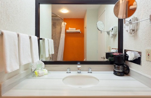 La Piedad Hotel | Holiday Inn La Piedad by IHG