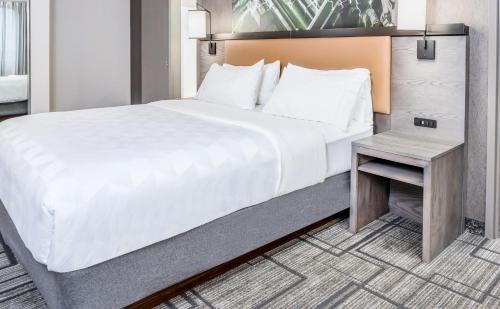 Lafayette Hotel | Holiday Inn Lafayette-City Centre by IHG