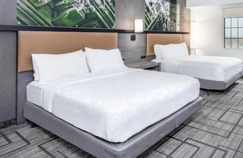 Lafayette Hotel | Holiday Inn Lafayette-City Centre by IHG
