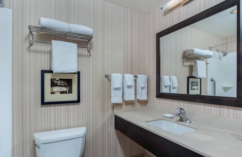Fairgrounds Hotel | Holiday Inn Louisville Airport - Fair/Expo by IHG