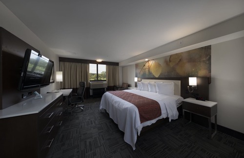 Brookfield Hotel | Holiday Inn Milwaukee Brookfield by IHG