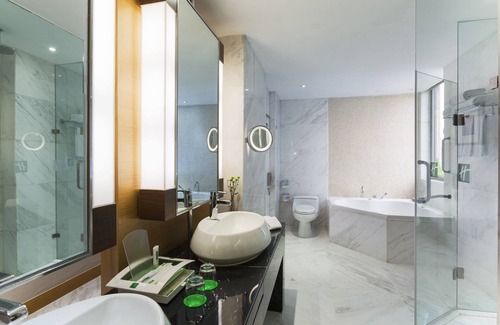 Qinhuai Qu Hotel | Holiday Inn Nanjing Aqua City by IHG