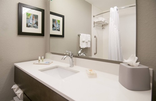 Kenner - Louis Armstrong International Airport Hotel | Holiday Inn New Orleans Airport North by IHG