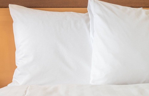 Queens Hotel | Holiday Inn New York JFK Airport Area, an IHG Hotel
