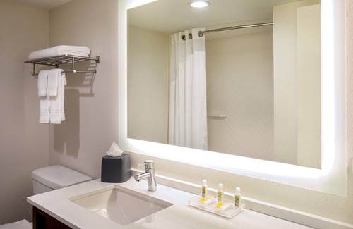 Central Newport News Hotel | Holiday Inn Newport News - Hampton by IHG
