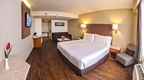 Orizaba Hotel | Holiday Inn Orizaba by IHG