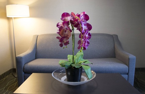 Sudbury Hotel | Holiday Inn Sudbury by IHG