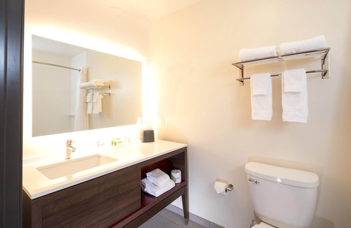 Troy Hotel | Holiday Inn & Suites Detroit - Troy by IHG