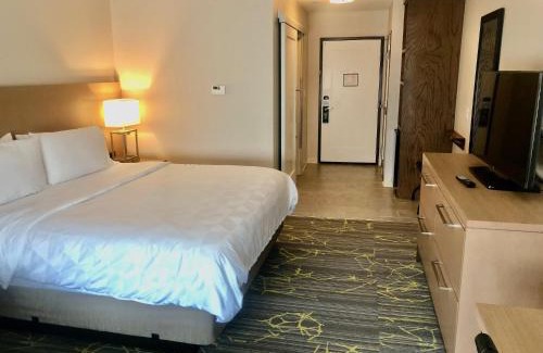 Barker Hotel | Holiday Inn & Suites Houston NW - Willowbrook by IHG