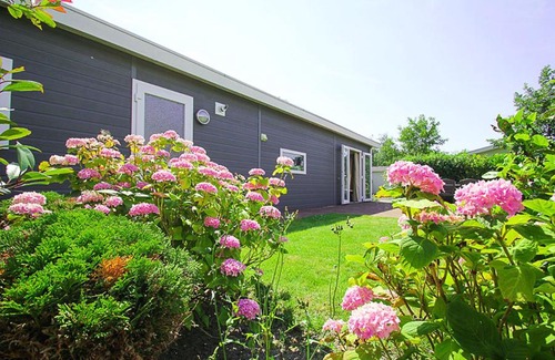 Velsen-Zuid Ski Chalet | Holiday rentals