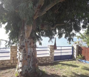 Sarakiniko Apartment | Holiday Tolofona Beach