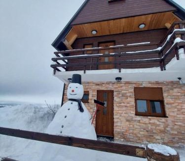 Pitomine Villa | Holiday Villa Silvija
