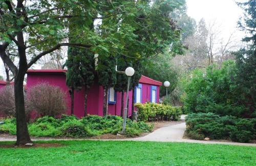 Mizra Hotel | Holiday Village Kibbutz Mizra