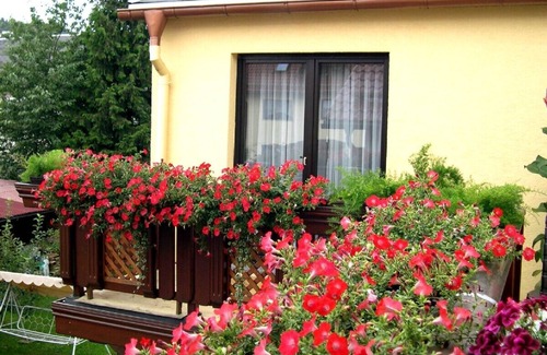 Seligenthal Apartment | Holidayflat with balcony, seperate entrance, near Thuringian Forest