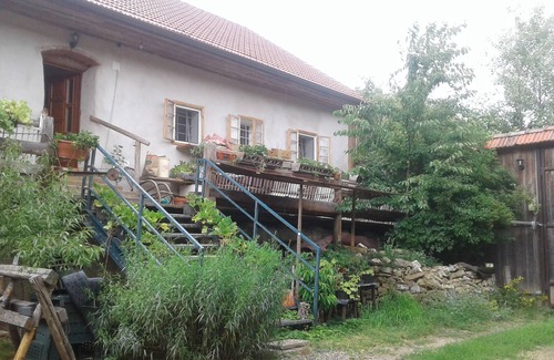 Bischofstetten Apartment | Holidays among happy animals!