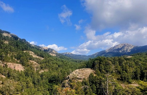 Marignana House | HOLIDAYS IN AUTHENTIC AND TRADITIONAL CORSICAN VILLAGE: MARIGNANA 20141