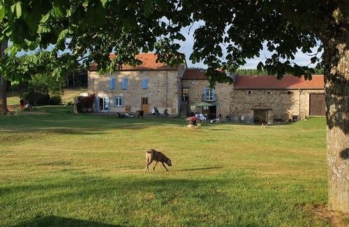 Vernet-la-Varenne Cottage | Holidays in the countryside are fun!