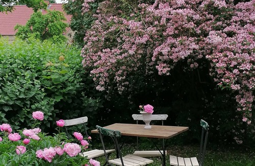 Temnitzquell Apartment | Holidays in the old parsonage