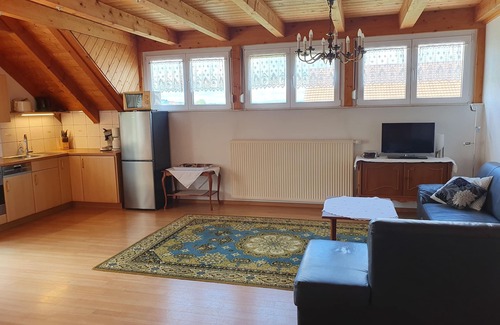 Endingen am Kaiserstuhl Apartment | Holidays in the winery in the Kaiserstuhl natural garden, with a view of the vineyards