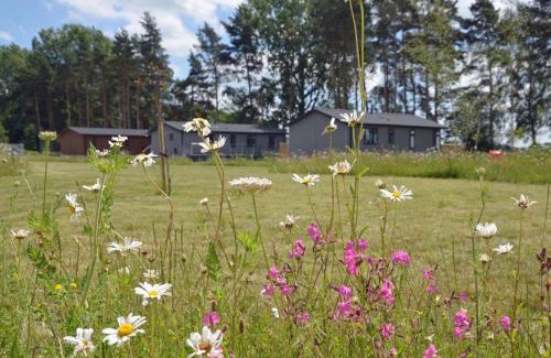 Ryther Cabin | Hollicarrs Holiday Park - Hares Leap