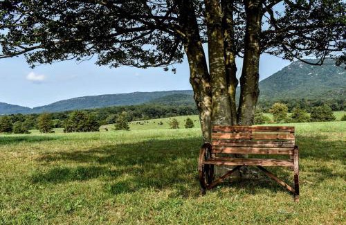 Luray House | Holly Tree Retreat Located In Beautiful Luray, VA.