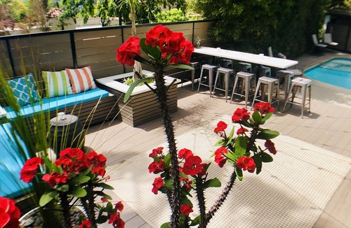 Hollywood Dell Apartment | Hollywood Tropical Private Pool & Spa -Best Location Double Guest Quarters