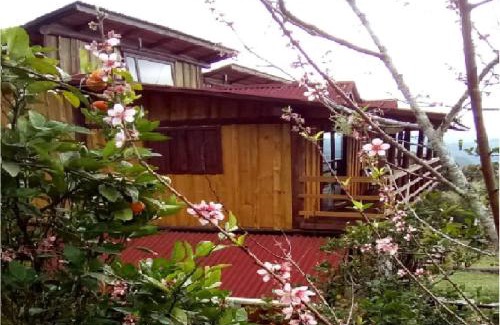 Rancho Queimado Hotel | Holo Pousada Vale Encantado