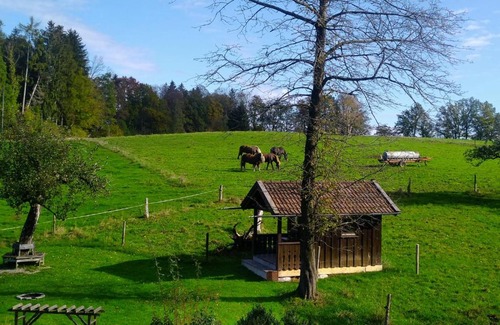 Konigsdorf Apartment | Holzer-Hof