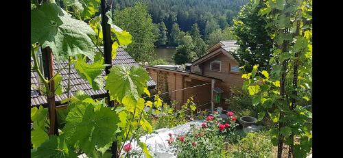 Trausnitz House | Holzhaus am See mit Panoramablick