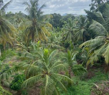 Thalawatugoda House | Home away from Home