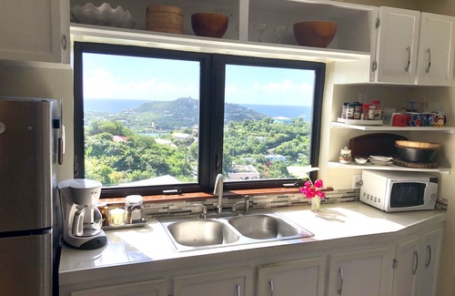 Estate Enighed Apartment | Home away from home 2-bedroom with St Croix views 5 minutes to Cruz Bay