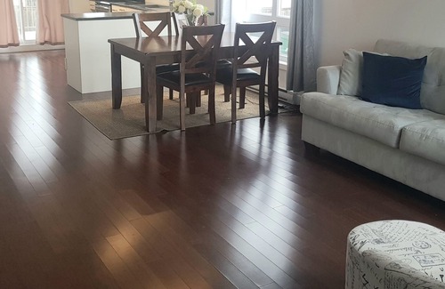 Plateau Apartment | Home away from home/5 mins to Gatineau Hiking Park, 10mins to Ottawa downtown