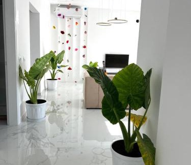 Gramsh Apartment | Home DeLuis