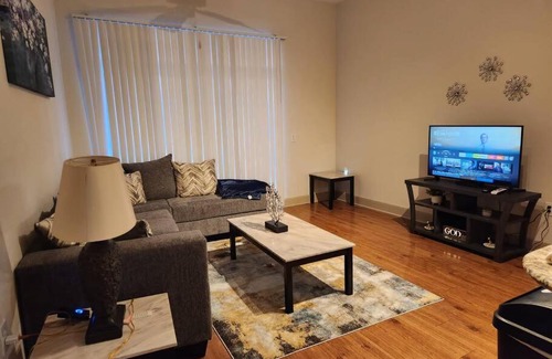 Astrodome Apartment | Home felt apartment- Med Center/NRG