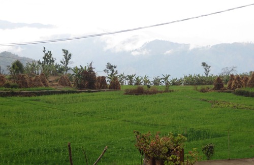 Pithoragarh House | HOME FOR YOU -