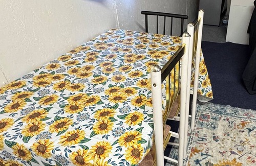 Lake County Cottage | Home in Christmas valley nCharming 1-bedroom cottage in Christmas valley,AC,WiFi