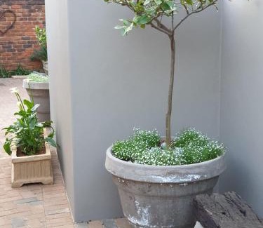 Garsfontein Apartment | @Home in the East