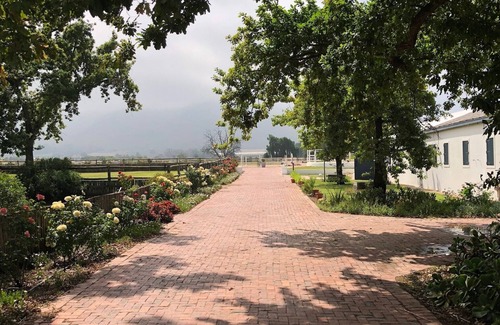Paarl House | Home in the Winelands on an Equestrian Estate filled with tranquil hours